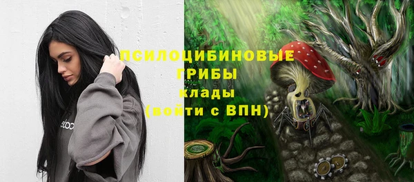 соль курить ск Армянск