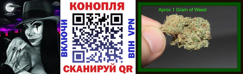 Бошки марихуана план  где продают   Усть-Джегута 